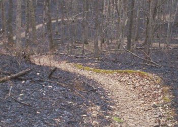 Ainsley's photo of the trail amid the burning