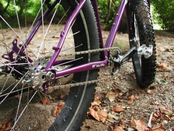 Massive tires on anon's Surly Pugsley