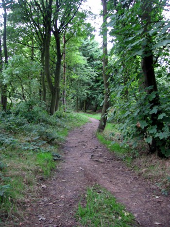 Pretty inviting, huh? Start of the Shadows trail in North Yorkshire